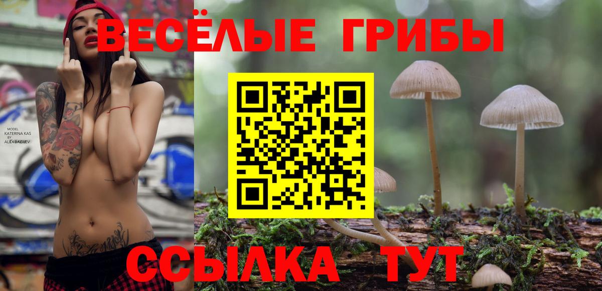 Псилоцибиновые грибы GOLDEN TEACHER  Вход с VPN  Назрань  Псилоцибиновые грибы Psilocybine cubensis 